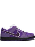 X Concepts Sb Dunk Low Pro Og Qs Purple Lobster Sneakers