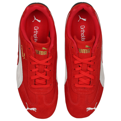 Speedcat